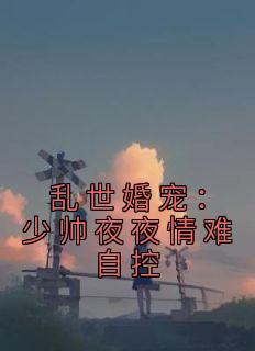 乱世婚宠：少帅夜夜情难自控